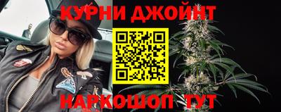 гидра Шебекино