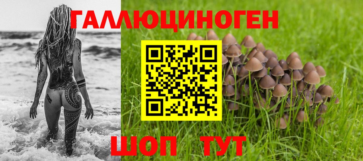 Псилоцибиновые грибы мухоморы  Вход с VPN  Краснодар 