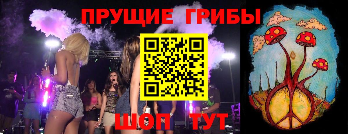 Псилоцибиновые грибы GOLDEN TEACHER Краснодар